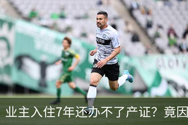 业主入住7年还办不了产证？竟因开发商欠税千万