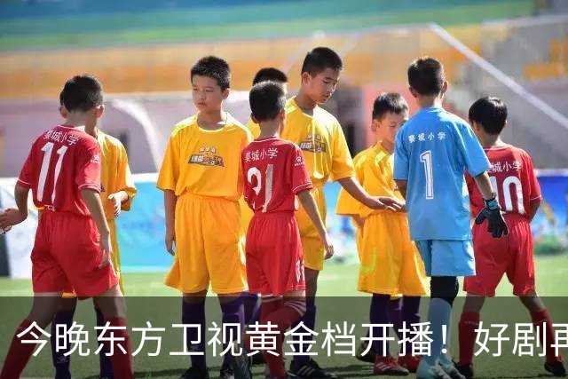 今晚东方卫视黄金档开播！好剧再次来袭！演员阵容不错