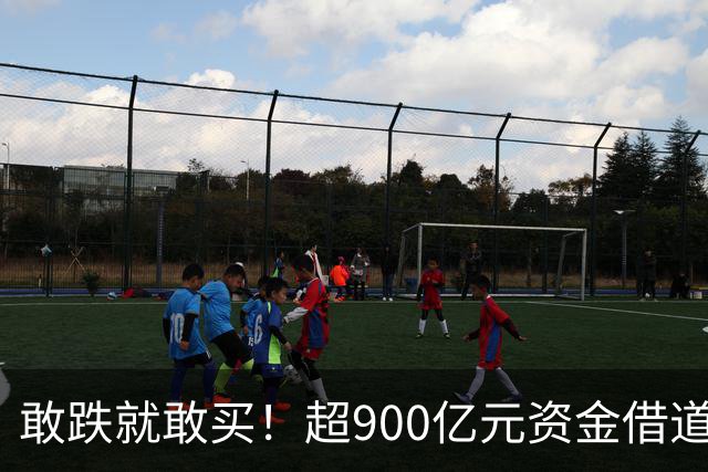 敢跌就敢买！超900亿元资金借道ETF蜂拥进场，除了沪深300，这些主题ETF也被大手笔买入