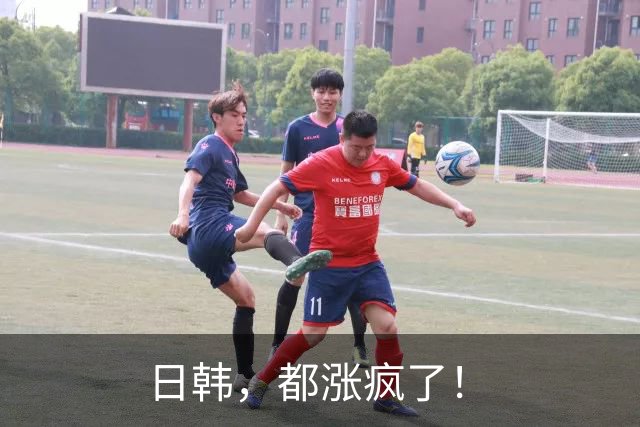 日韩，都涨疯了！