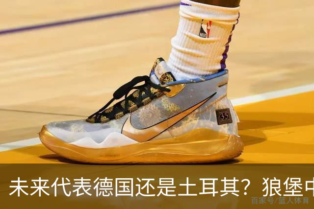 未来代表德国还是土耳其？狼堡中场达马尔：我都不排除