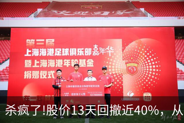 杀疯了!股价13天回撤近40%，从高点248.3砸至153.01!出现12连阴!