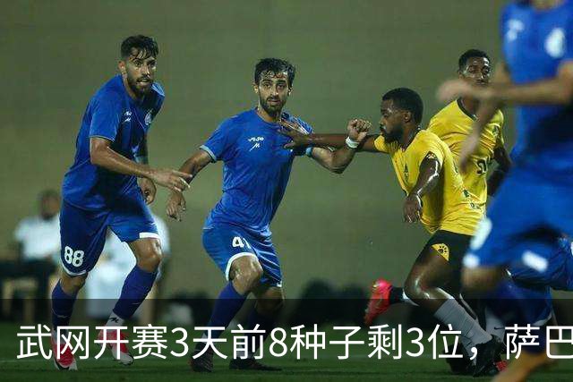 武网开赛3天前8种子剩3位，萨巴伦卡1-2一轮游，郭涵煜持外卡拿到WTA1000正赛2连胜晋级16强
