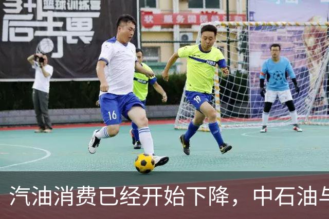 汽油消费已经开始下降，中石油与中石化为何还要大举扩建加油站？
