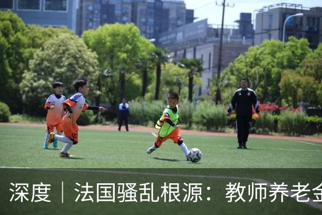 深度｜法国骚乱根源：教师养老金太多了，替代率100%？