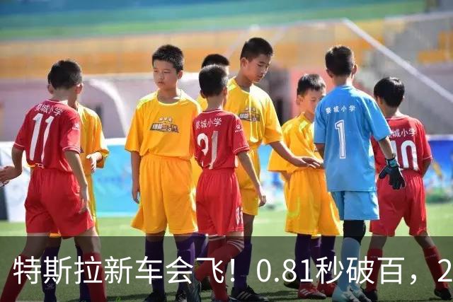 特斯拉新车会飞！0.81秒破百，2028量产