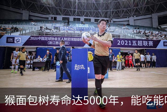 猴面包树寿命达5000年，能吃能喝又能住，为何引进中国却大变样？