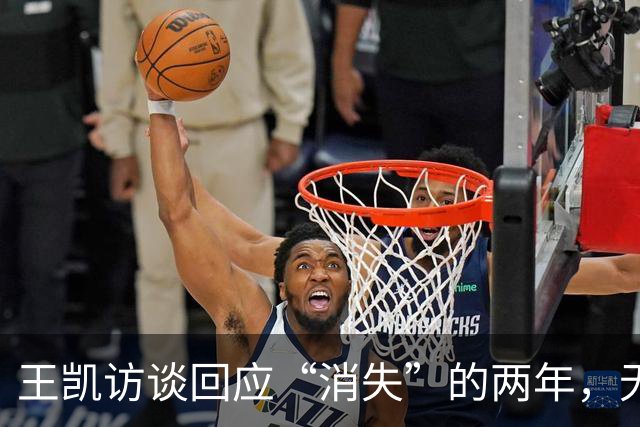 王凯访谈回应“消失”的两年，无儿无女，父亲已死，母亲不再催婚