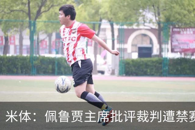 米体：佩鲁贾主席批评裁判遭禁赛3个月，并追加500欧元罚款