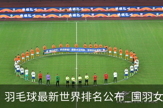 羽毛球最新世界排名公布 国羽女双混双继续位居榜首