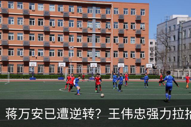 蒋万安已遭逆转？王伟忠强力拉抬沈伯洋后，前绿委断言沈“稳了”