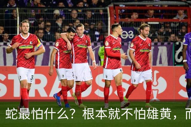 蛇最怕什么？根本就不怕雄黄，而是这四样，第4种沾上就会让它毙命