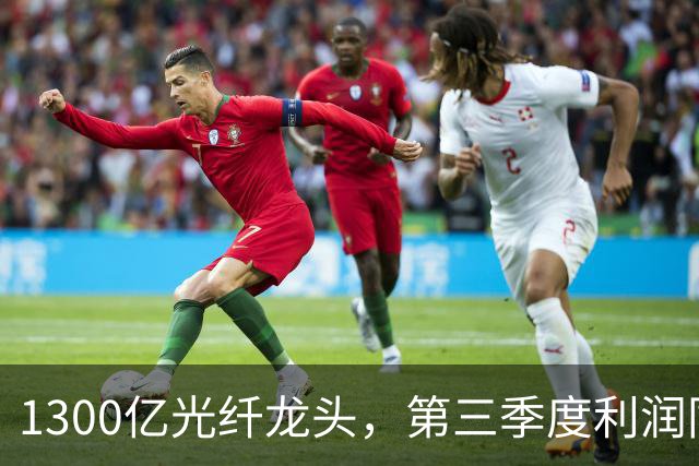 1300亿光纤龙头，第三季度利润同比增长1742%