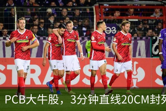 PCB大牛股，3分钟直线20CM封死涨停
