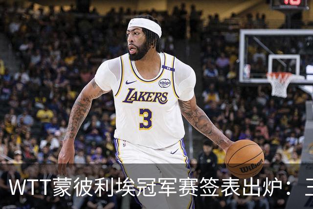 WTT蒙彼利埃冠军赛签表出炉：王曼昱首轮对阵汉娜·高达，孙颖莎对阵卢茨，林诗栋将战林钟勋